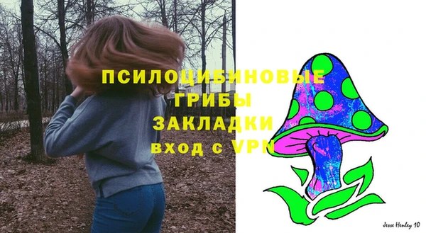 соль курить ск Белокуриха
