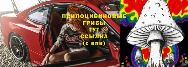 соль курить ск Белокуриха