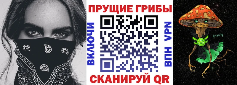 Псилоцибиновые грибы мицелий Малмыж