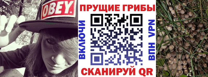Галлюциногенные грибы Cubensis  Малмыж 